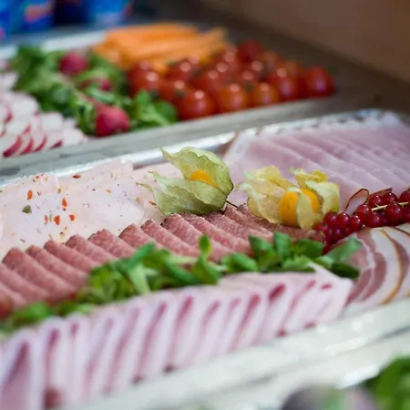 Hotel Blizz Finkenberg